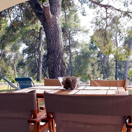 4 Bedroom Villa With Pool And Garden Неа-Фокеа Екстер'єр фото